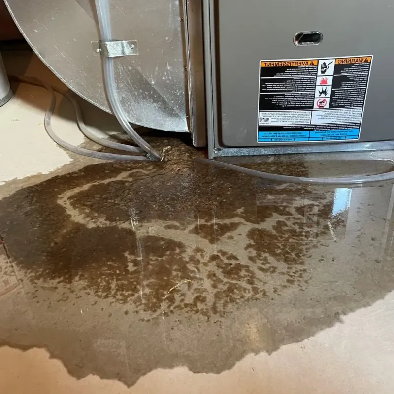 Pipe Burst and Leak Restoration in Kellogg, ID